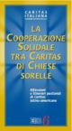 6 - La cooperazione solidale tra Caritas di Chiese sorelle (luglio 2004)