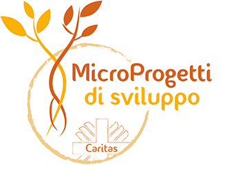 MicroProgetti di sviluppo